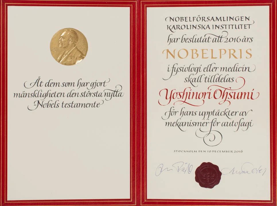 Nobel Prize Medals & Certificates